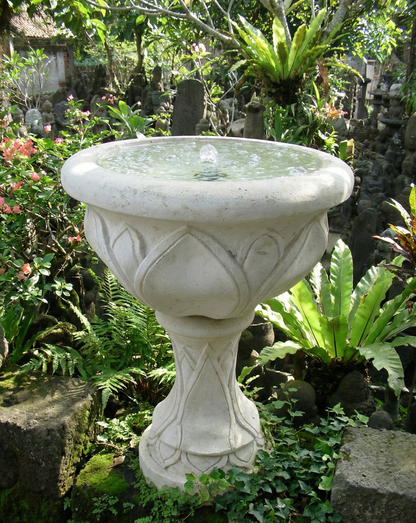 Fuentes Bali