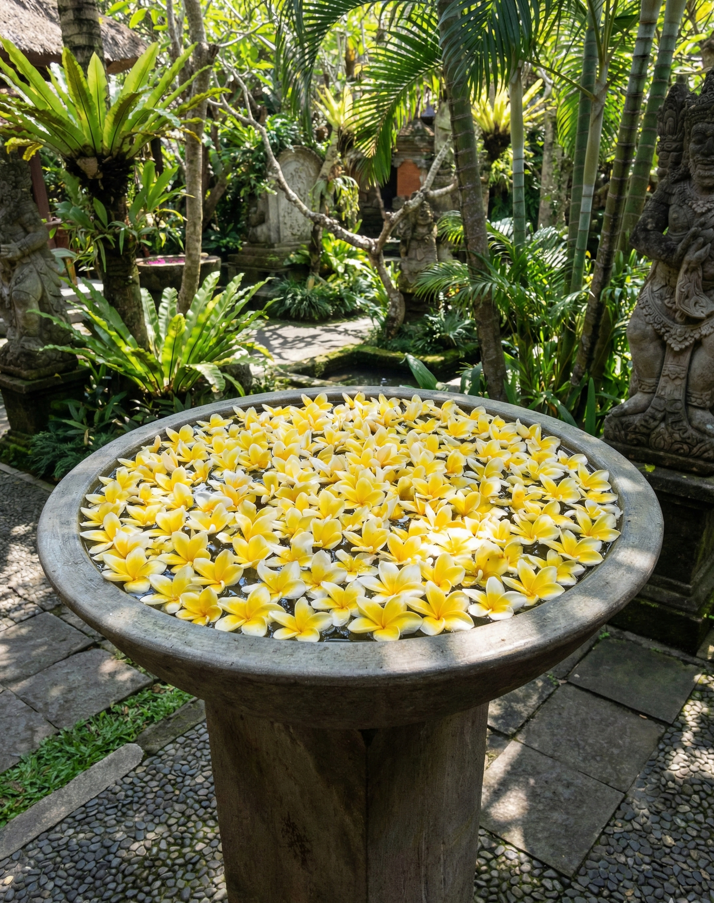 Fuentes Bali