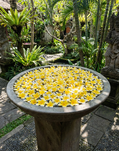 Fuentes Bali